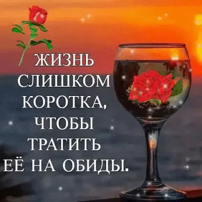 СЛИШКОМ КОРОТКА т ЧТОБЫ ТРАТИТЬ ЕЁ НА ОБИДЫ