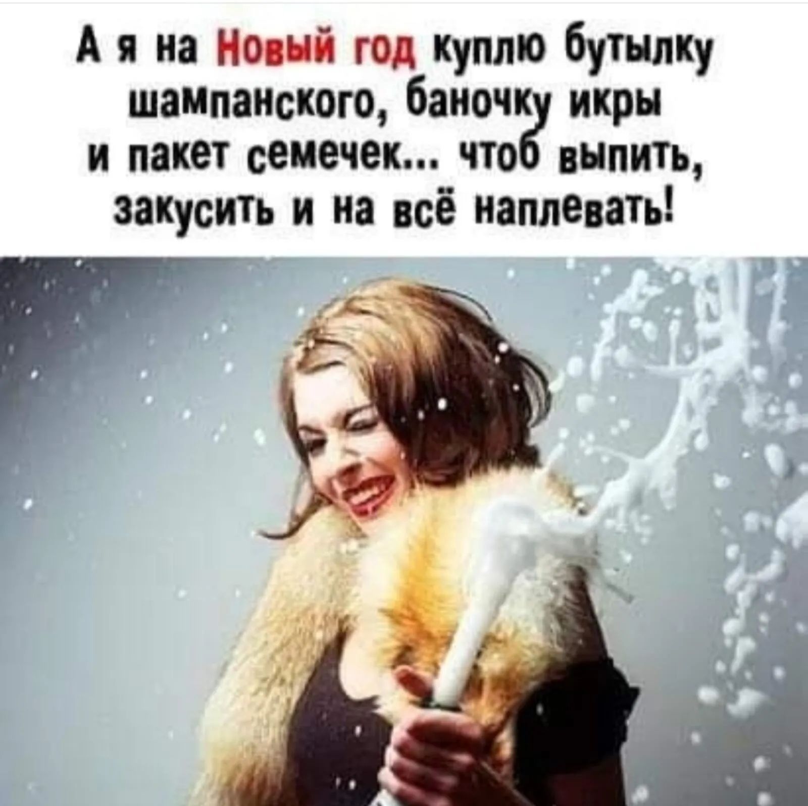 А я на Новый гол куплю бутылку шампанского баночк икры и пакет семечек что выпить закусить и на всё наплевать