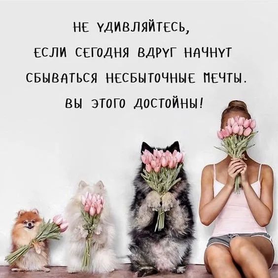 НЕ удивляйтвсь если сегодня ВДРУГ начнут свывдться несвыточныв печты вы этого достойньн