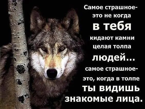 Самое страшное это не когда в тебя кидают камни целая ТОЛПа людей самое страшное ЭТО когда В толпе ТЫ ВИДИШЬ знакомые ЛИЦЭ