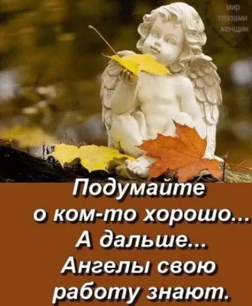 0 Подумайте о ком то хорошо А дальше Ангелы свою работу знают