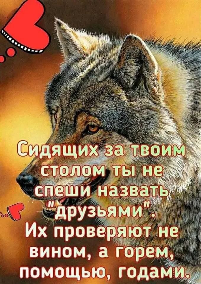 Их проведяют не вином а горем ПОМОЩЬЮ годамиЖ
