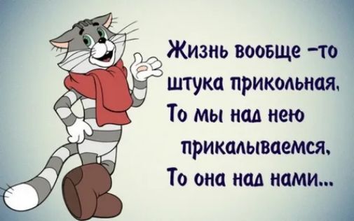 17 7 Жизнь воовще то штука прикольная То мы над нею прикидывается То она над нами