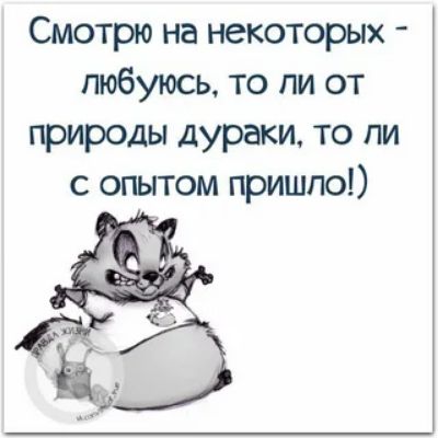 Смотрю на некоторых любуюсь то ли от природы дураки то пи с опытом пришло