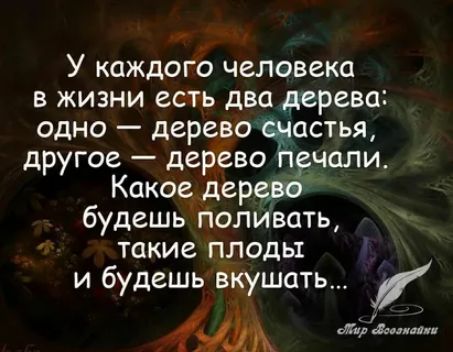 У каждого человека в жизни есть два дерева одно дерево е_ыастья другое дерево пчали Какое дерево будешь поливать такие плоды и будешь вкушать и д СЗвслшпгш