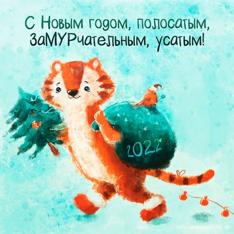 _ с С Новым швом полосатым ЗаМУРчательным _ушдатым