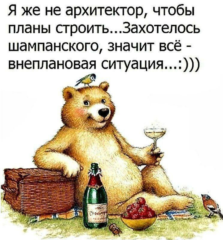 Я же не архитектор чтобы планы строитьЗахотелось шампанского значит всё внеплановая ситуация