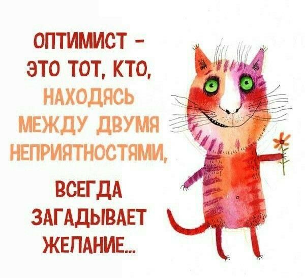 ОПТИМИСТ ЭТО ТОТ КТО НАХОДЯСЬ МЕЖДУ ДВУМЯ ЁЁ НЕПРИЯТНОСТЯМИ ВСЕГДА ЗАГАДЫВАЕТ ЖЕЛАНИЕ