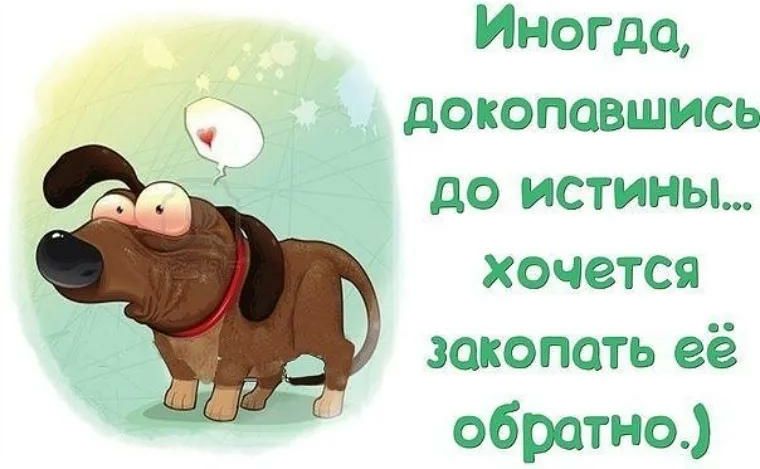 Иногда докопавшись до истины хочется закопать её обратно