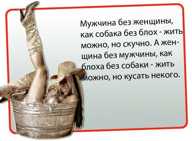 Мужчина без женщины как собака без блох жить можно но скучно А жен щина без мужчины как лоха без собаки жить 0ЖН0 НО КУСЗТЬ НЕКОГО
