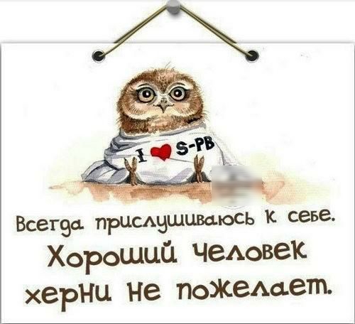 Всех эс Бритвшшаюсь к сева хороший чеАовек херни Не поясемет