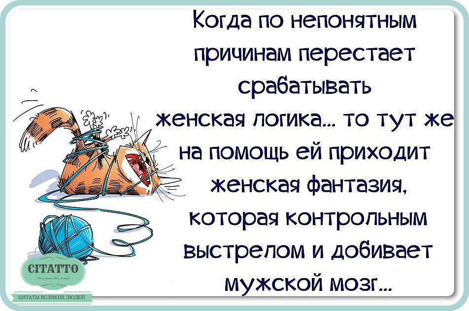 Когда по непонятным причинам перестает срабатывать женская логика то тут же у на помощь ей приходит женская фантазия которая контрольным выстрелом и добивает мужской мозг