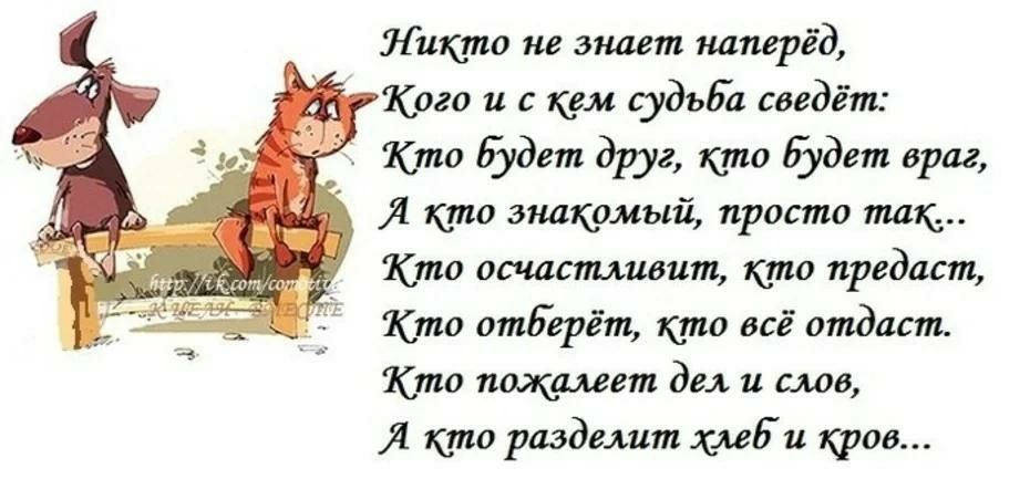 Кто друг кто враг а кто просто так картинки