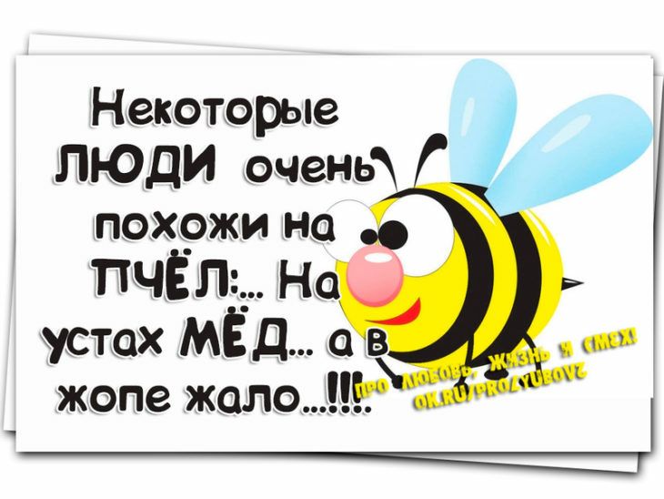 Некоторые ЛЮДИ очень похожи но ПЧЁП Но жопе жало