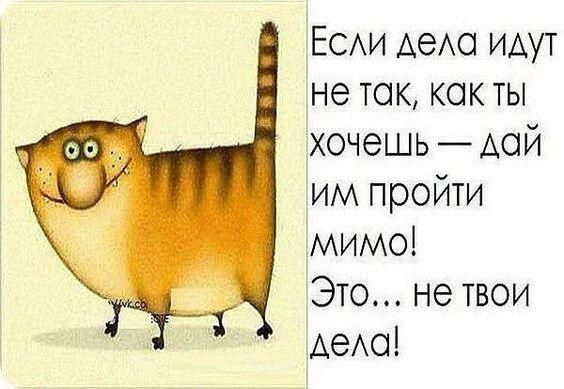 ЕСАИ АеАО идут не ток кок ты хочешь дой им пройти мимо Это не твои АеАо