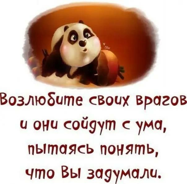 Возлюбите своих врагов и они сойуут ума пытаясь понять что Вы зауумали