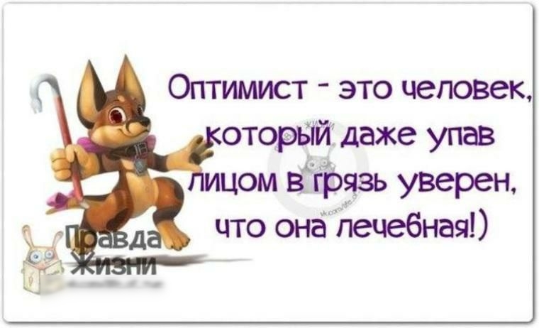 Оптимист это человек