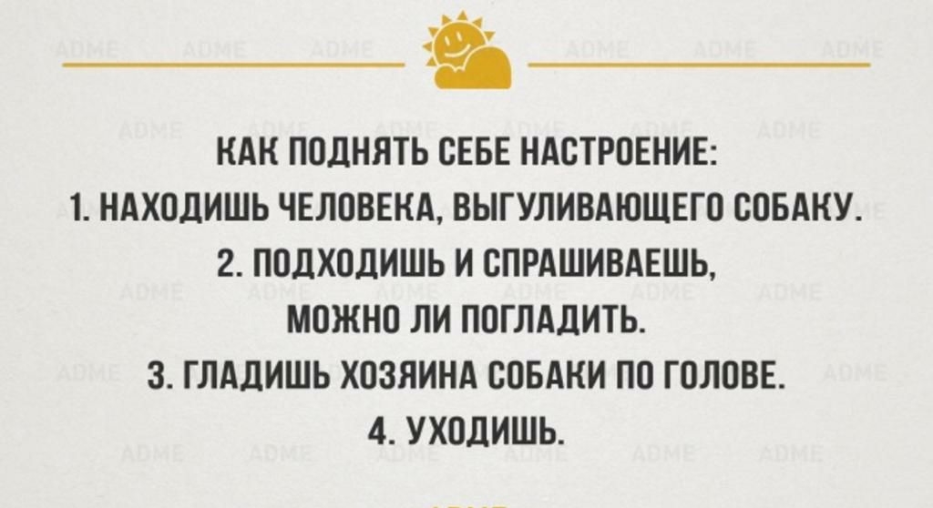 _а КАК ПОДНЯТЬ СЕБЕ НАСТРПЕНИЕ 1 НАХОДИШЬ ЧЕЛОВЕКА ВЫГУЛИВАЮЩЕГО СОБАКУ 2 ПОДХОДИШЬ И СПРАШИВАЕШЬ МОЖНО ЛИ ППГЛАДИТЬ 3 ГЛАДИШЬ ХОЗЯИНА СОБАКИ ПО ГОЛОВЕ 4 УХОДИШЬ
