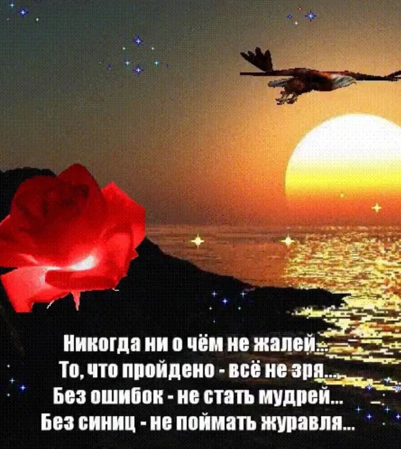 никогда Ё не ЖЗПВЙЁ ч Точто пройдено всё инаяд Без ошибок не стать кудрей 03 синиц не поимать журавля