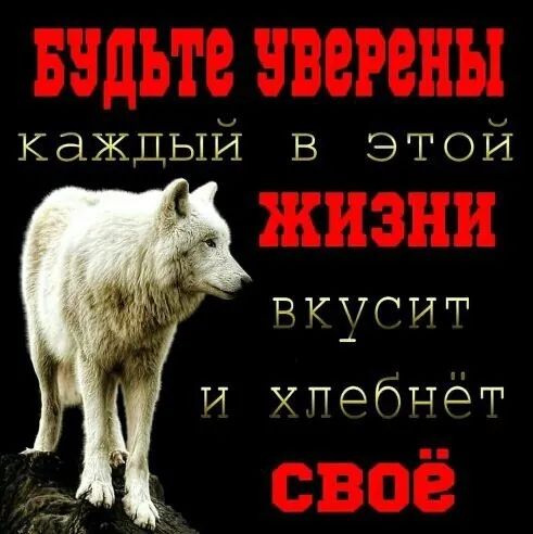 каждый в этой РКЧПТТТ и хпрбцёт