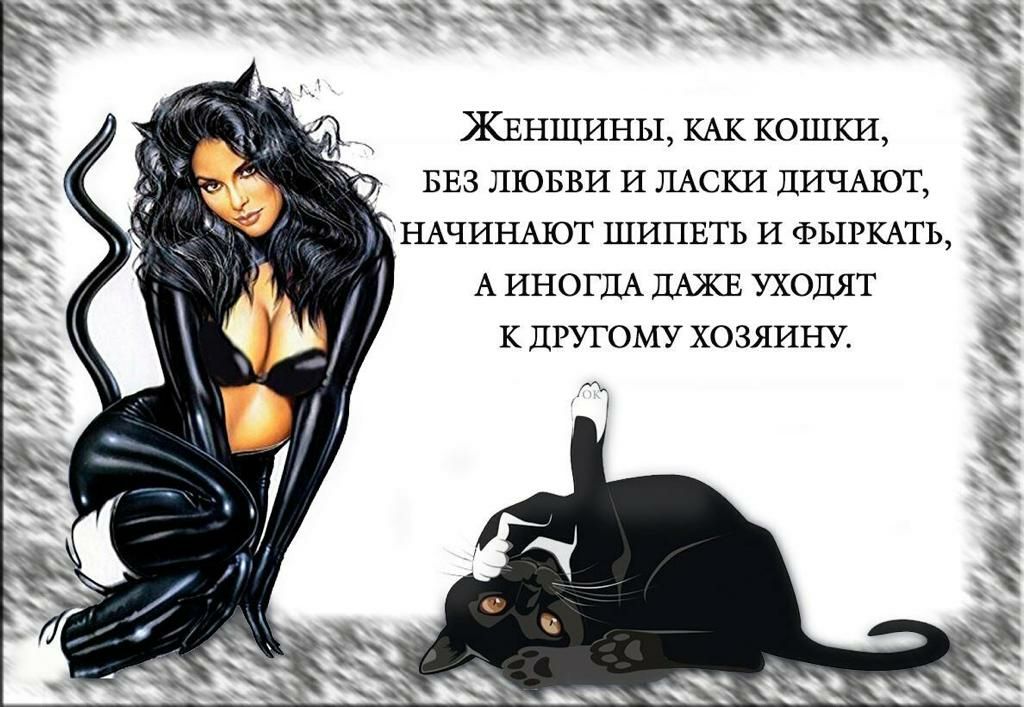 А ИНОГДА ДАЖЕ УХОДЯТ К ДРУГОМУ ХОЗЯИНУ А