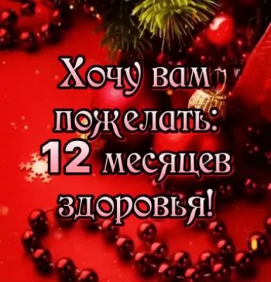 У кону вам пжелаш 312 месяцев здоровы г