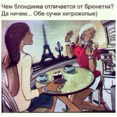 Чем блондинка отличается от брюнетки Да ничем Обе сучки хитрожопые