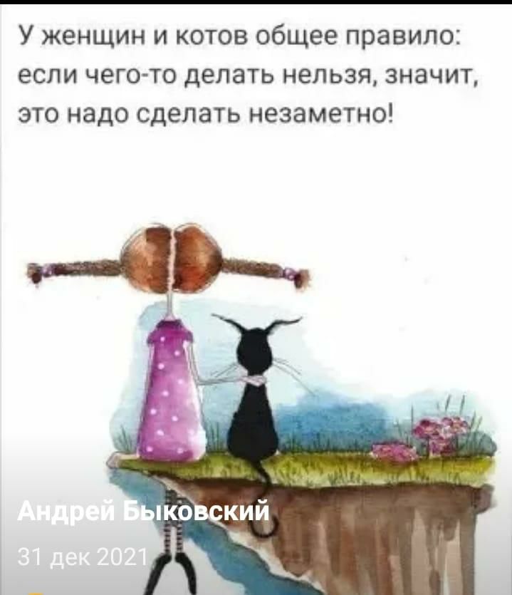 У женщин и котов общее правило если чегото делать нельзя значит это надо сделать незаметно