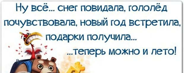 Ну всё снег повидала гололёд почувствовала новый год встретила подарки получила теперь можно и лето _ и