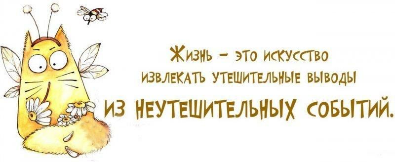 Жизнь эТо искусст извпеть тшитыьны выводы