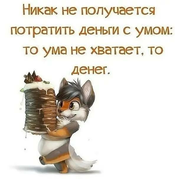 Никак не получается потратить деньги с умом то ума не хватает то денег