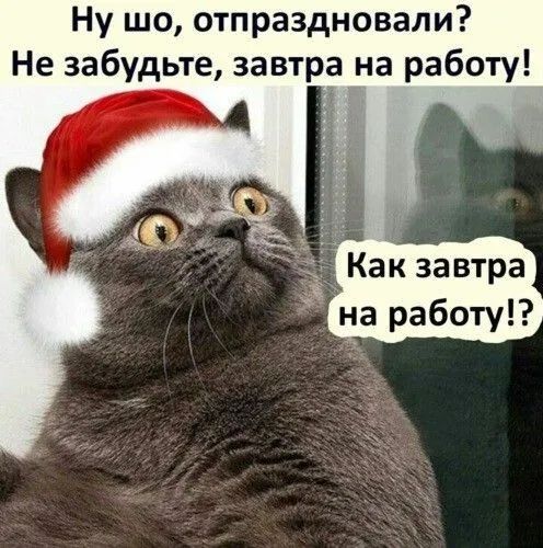 Ну шо отпраздновали Не забудьте завтра на работу