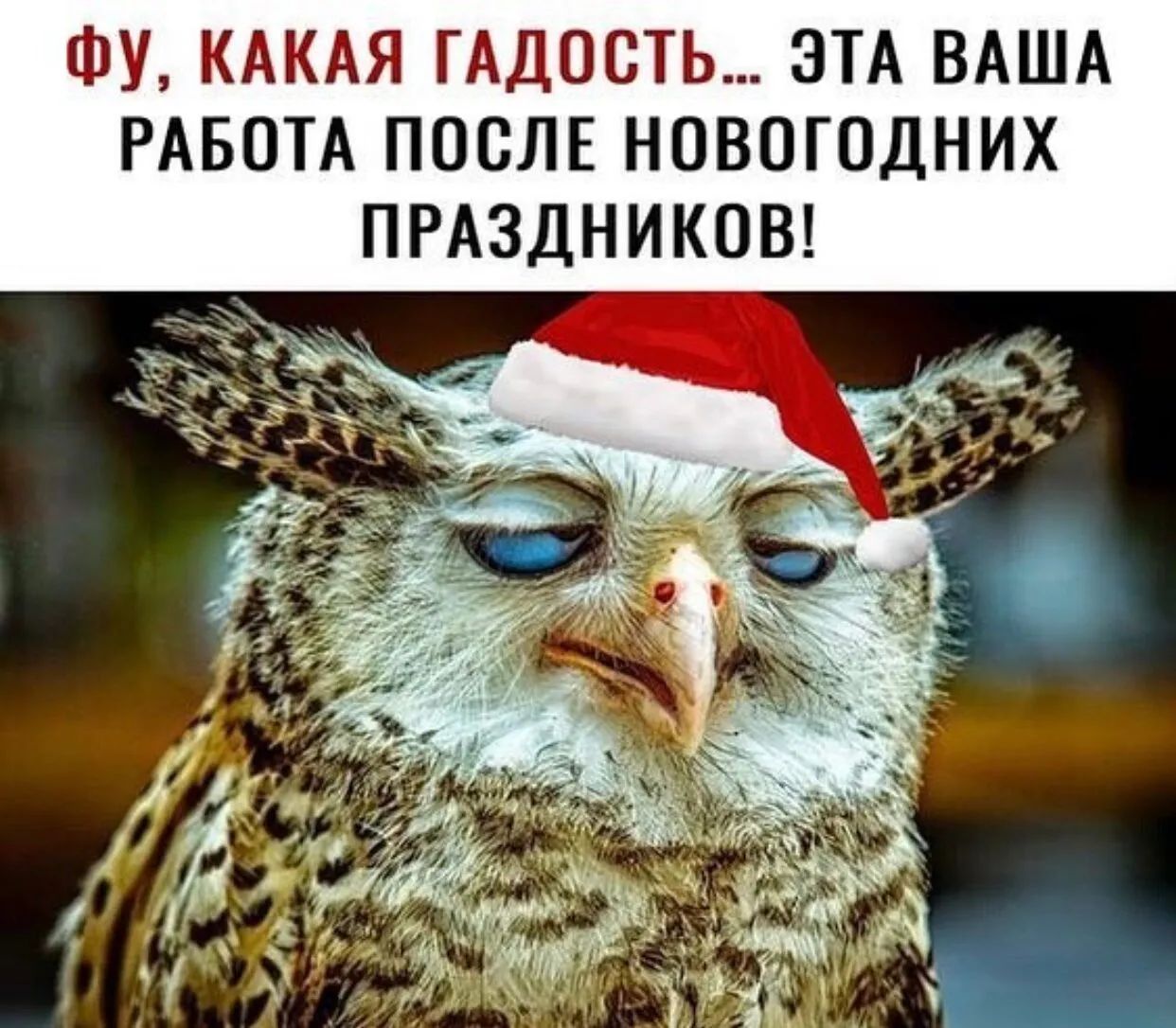 ФУ КАКАЯ ГАДОСТЬ ЭТА ВАША РАБОТА ПОСЛЕ НОВОГОДНИХ ПРАЗДНИКОВ
