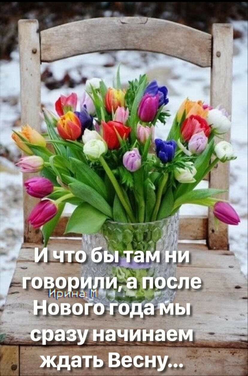 Шдідііі Щи _