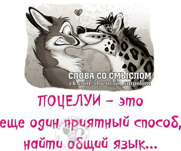спвівиспс ПОЦЕЛУИ это еще оуин приятный способ найти общий язык