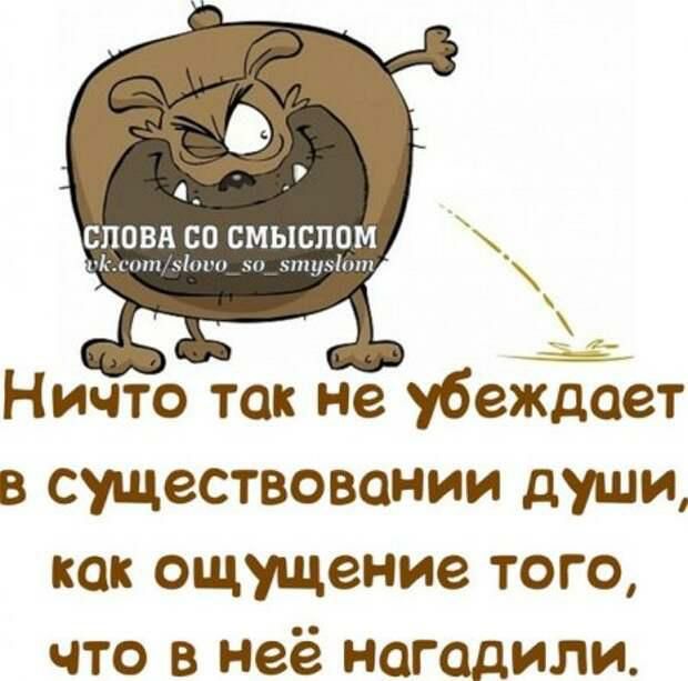 4 СНОВА СО СМЫСПО и и чпуя _ Ничто так не убеждает в существовании души как ощущение того что в неё ногодили