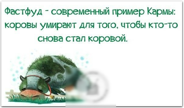 Фастфуд современный пример Кармы коровы умирают для того чтобы кто то снова стал коровой