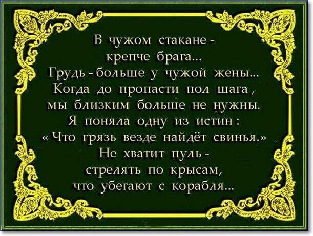 В чужом стакане крепче брига Грудь больше у чужой жены Когда до пропасти под шага мы близким больше не нужны Я поняла одну из истин Что грязь везде найдёт свинья Не хватит пуль стрелять по крысам что убегают с корабля