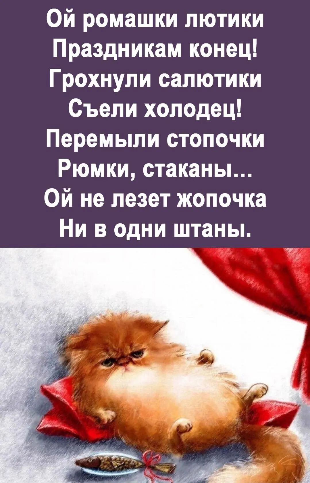 Ой ромашки лютики Праздникам конец Грохнули салютики Съели холодец Перемыли стопочки Рюмки стаканы Ой не лезет жопочка Ни в одни штаны