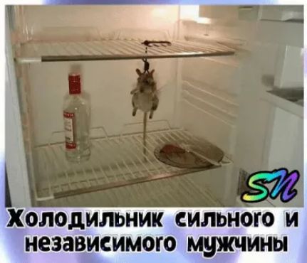 и ХОЛОДИЛЬНИК СИЛЬНО И независимого ИНЬ