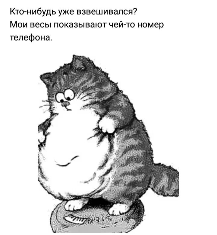 Кто нибудь уже взвешивался Мои весы показывают чей то номер телефона