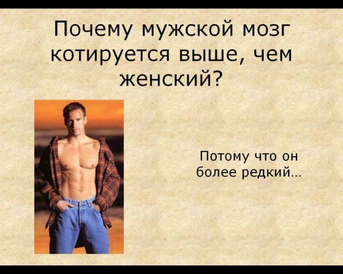 Почему мужской мозг котируется выше чем женский Потому что он более редкий