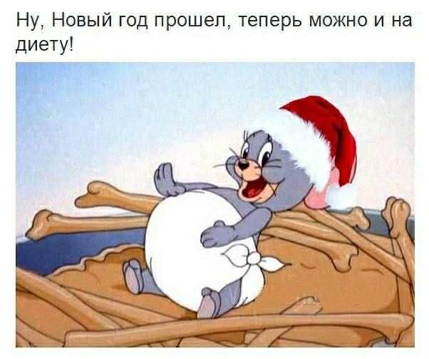 Ну Новый год прошел теперь можно и на диету