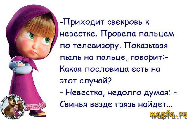 Приходит свекровь к невестке Провела пальцем по телевизору Показывая пыль на пальце говорит Какая пословица есть на этот случай Невестка недолго думая Свинья везде грязь найдет