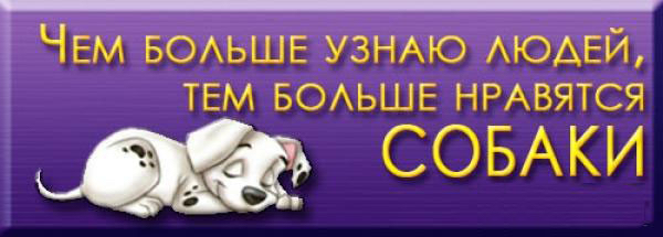 ЧЕм БОАЬШЕ узнмо АЮАЕЙ ТЕМ БОАЬШЕ НРАВЯТСЯ СОБАКИ