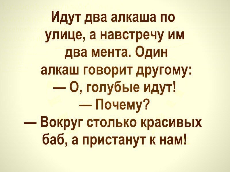 Идут два апкаша по улице а навстречу им два мента Один алкаш говорит другому О голубые идут Почему Вокруг столько красивых баб а пристанут к нам
