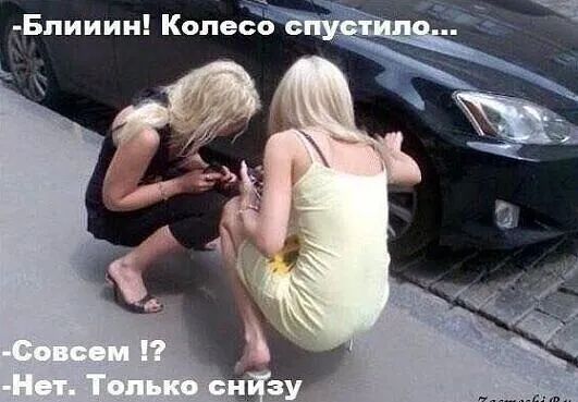 Бпииии Копес