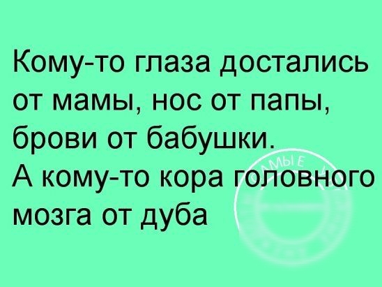 Кому то глаза достались от мамы нос от папы брови от бабушки А кому то кора головного мозга от дуба