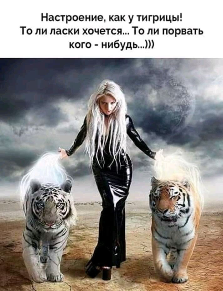 Настроение как у тигрицы То ли ласки хочется То ли порвать кого нибудь