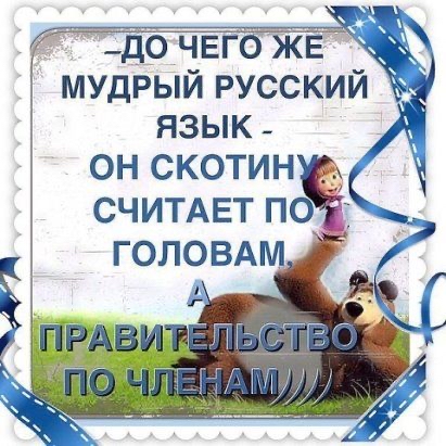 мудгіый русский язык он скотин
